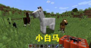 我的世界最稀有的马 我的世界100个免费模组
