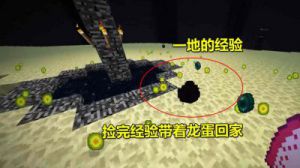末影龙蛋孵化流程图 我的世界末影龙蛋