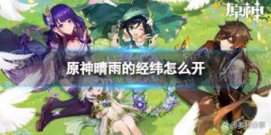 原神晴雨的经纬怎么开 原神晴雨的经纬怎么看