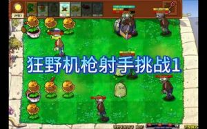 狂野机枪射手挑战3 植物大战僵尸狂野机枪图片