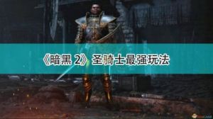 暗黑2骑士玩法 暗黑2圣骑士天堂之拳玩法