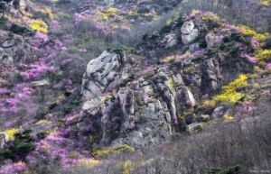 泰安桃花峪攻略 泰安旅游攻略三日游