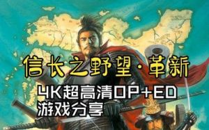 信长之野望革新有趣的玩法 wii信长之野望 革新 加强版