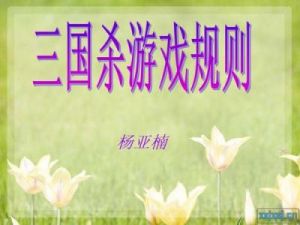 三国杀玩法教程 三国杀卡牌详细玩法