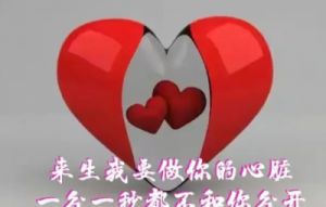 就挺秃然的豪门弃妇，如何优雅地度过余生？