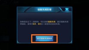 王者荣耀2级密码忘记了怎么办？