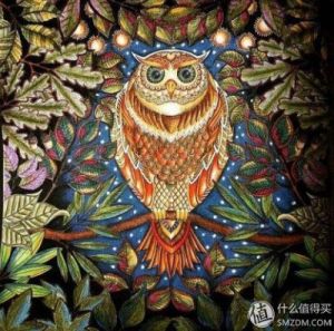 魔法森林中文版在线玩 愤怒的小鸟中文版在线玩