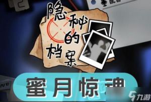 隐秘的档案：蜜月惊魂攻略