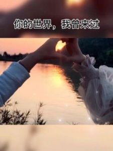 世界之外侧影如何相遇