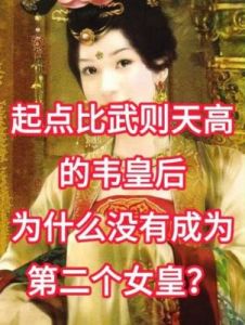 寻找文字中的错误：武则天与烧饼的图文指南