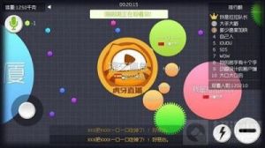 球球大作战中苍蝇玩法的详细介绍与心得技巧