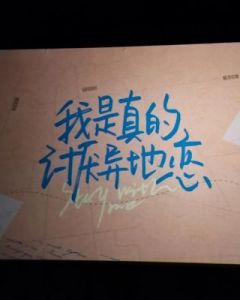 隐秘的异地恋指南