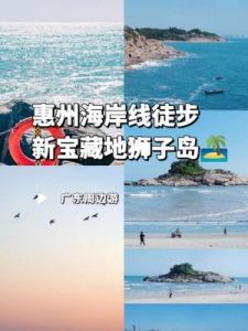 方寸岛宝藏位置大揭秘