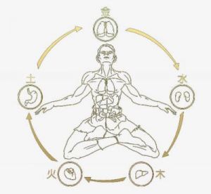 探索神秘蛮荒世界，手游《五行》的主角金木水火土人设及背景揭秘