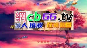 夜间18款B站禁用，私密内容竟成网络热点