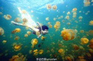 优化：了解扦插BB的益处，你不想错过吗？