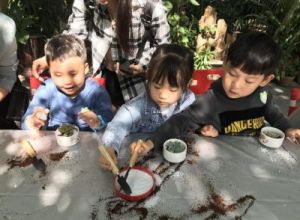 奇妙体验：如何在日常生活中运用左右逢源技巧