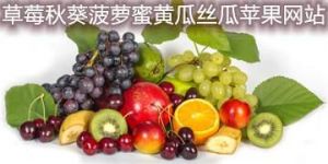 当丝瓜黄瓜向日葵秋葵榴莲草莓等农产品与网络热点相遇时