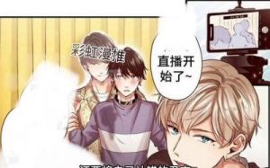 双胞胎夹心饼干