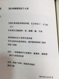 公的浮之手中字5剧情解析：复杂情感与人间的挣扎
