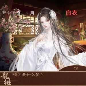 龙雏妃子全流程攻略