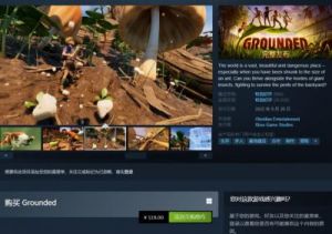 禁闭求生（Steam版）叫什么名字？