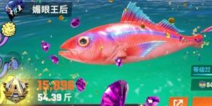 钓鱼大师的鱼类图鉴大全，详解欢乐钓鱼大师各类鱼类