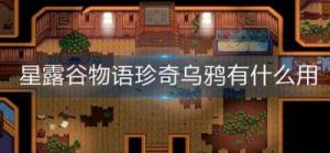 星露谷物语中的珍奇乌鸦效果