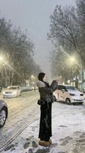 如何穿越雪地磁铁桥，双人成行