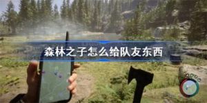 “如何将物品传递给队友，以在森林中使用？”