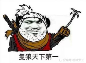 《只狼：为何其容量仅为十多G？》