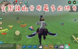 探索与发现辣椒在哪个地图刷得最多的地方
