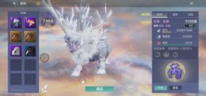妄想山海Top10热门宠物排行榜