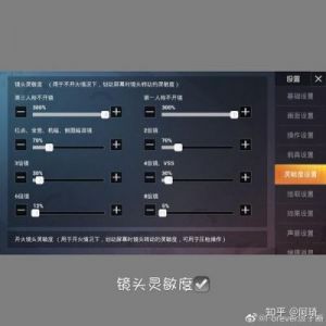 了解《和平精英》端游的名称及其特点