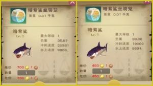 探索与魔法相结合的虎皮鲨饲料