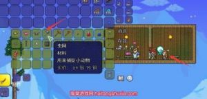 泰拉瑞亚中如何获得捕虫网以及其使用方法