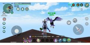 制作创意与魔法的云鹰饲料