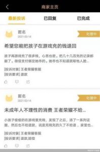 《王者荣耀》未成年人充值额度解析：每月限制金额是多少？