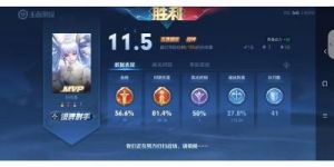 在王者段位中广受喜爱的装备，而在较低的分段却鲜有人问津