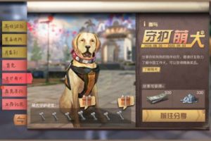 如何更改明日之后狗狗的名字？详细名称修改方法介绍