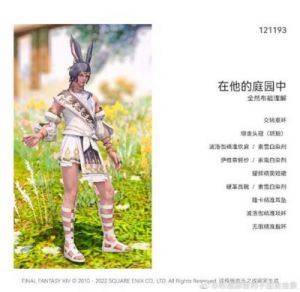 FF14幻想药的正确使用方法