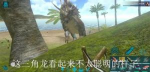 《方舟：生存进化》中如何驯服三角龙？三角龙的驯服方法