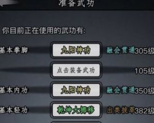放置江湖散人玩法技巧与武功选择