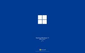 Windows11高清视频：视觉盛宴尽在掌握