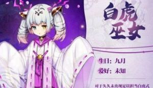 万灵启源：SSR角色抽取的概率揭秘