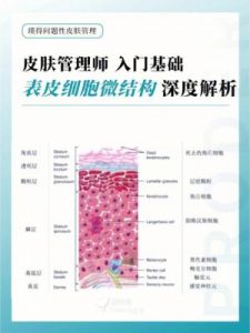 失落城堡：猎魔公会调查员皮肤深度预览，值得购买吗？