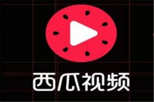 免费看短视频APP软件排名第一：这是真的吗？真相揭秘！