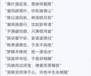 抖音《我像是跳回到勇敢的岁月》是哪首歌