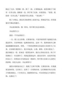 合家欢下册公交车：踏上幸福之路
