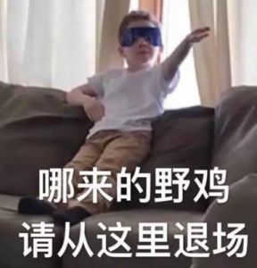 甘霖娘：为何她能成为网络热词？揭秘背后的原因